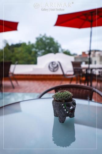 Bazén v ubytování LARIMAR Gallery y Hotel Boutique nebo v jeho okolí