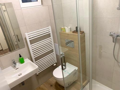 a bathroom with a toilet and a sink and a shower at Penzión Talisman in Rajecké Teplice