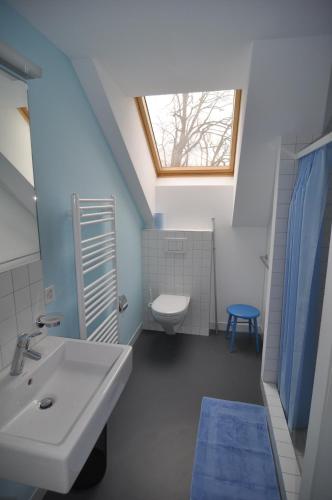 a bathroom with a sink and a toilet and a window at Haus Noains in Rodels