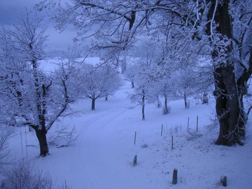 Haus Noains durante el invierno
