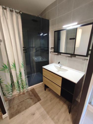 une salle de bain avec un lavabo et une douche dans l'établissement Appartement VALRAS-PLAGE bord de mer, à Valras-Plage