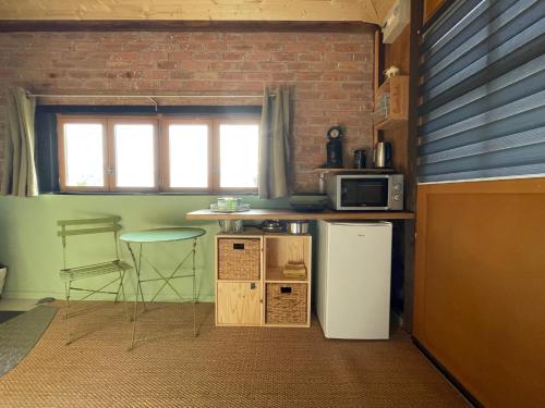 Tullins的住宿－Jolie cabane avec jacuzzi pour les amoureux de la nature，厨房配有冰箱和带微波炉的桌子。