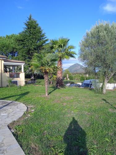A garden outside Villa Rosanna