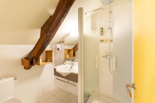 a bathroom with a sink and a shower at Logis Hôtel Le Vert Galant in La Flèche