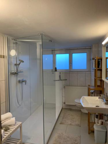 ein Bad mit einer Dusche und einem Waschbecken in der Unterkunft Chalet zum See in Bregenz