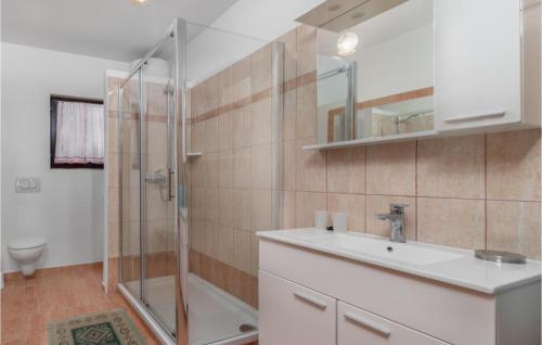 a bathroom with a shower and a sink and a toilet at Nice Apartment In Pinezici With Kitchen in Pinezici