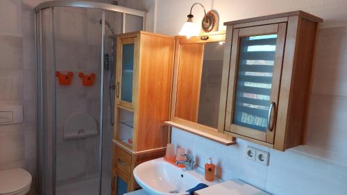 a bathroom with a sink and a toilet and a shower at Ferienwohnung Am Floßgraben in Bad Schlema