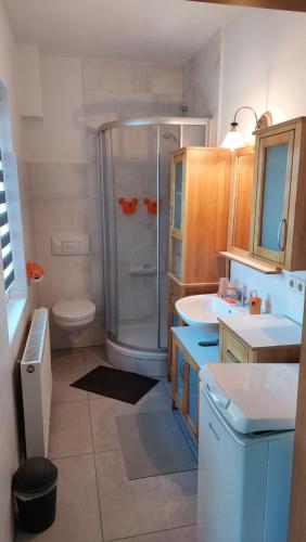a bathroom with a shower and a toilet and a sink at Ferienwohnung Am Floßgraben in Bad Schlema