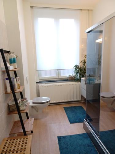 een badkamer met een toilet, een raam en blauwe tapijten bij De Galerie - green leaves in Ieper
