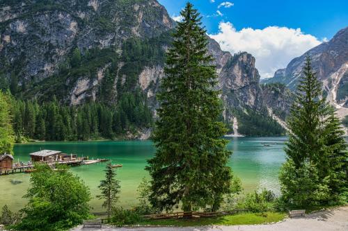 a view of a lake with trees and mountains at Hotel Lago di Braies in Braies