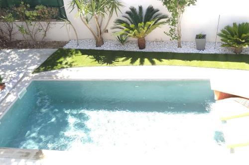 - une piscine dans un jardin planté de plantes dans l'établissement Villa contemporaine avec piscine dans un cadre verdoyant, à Calvisson