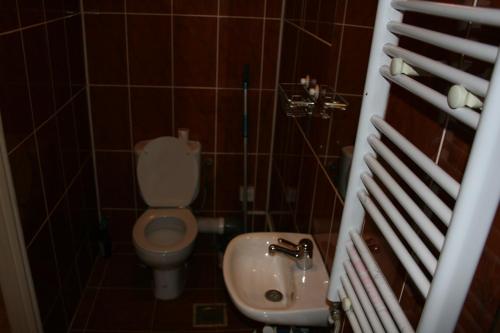 a small bathroom with a toilet and a sink at Mayfair Flat in London