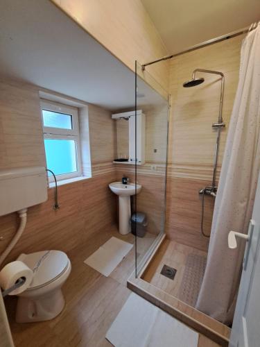 a bathroom with a shower and a toilet and a sink at Sunset in Palić