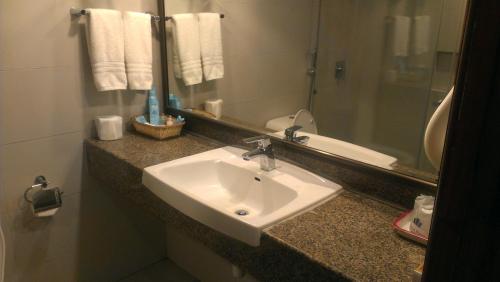 a bathroom with a sink and a mirror at Regent Plaza Hotel & Convention Center in Karachi
