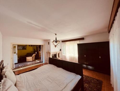 a bedroom with a large bed and a living room at Countryside house with 3 bedrooms in Bonţeşti