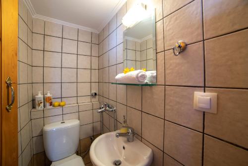 een badkamer met een toilet en een wastafel bij GrapeVine Villa in Gavalochori