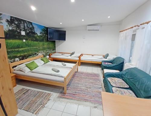 a living room with couches and a painting on the wall at Harmónia Parasztház és Apartman in Poroszló