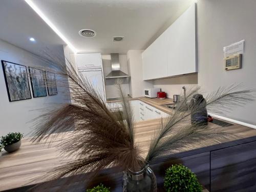 una cocina con una palmera en un jarrón en Magnificent apartment Mar'y'Golf with SPECTACULAR VIEW! High-speed internet, Remote Work, en Mojácar