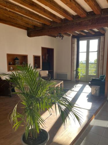 a living room with a palm plant in the middle at Atypique in Châteauneuf-de-Gadagne