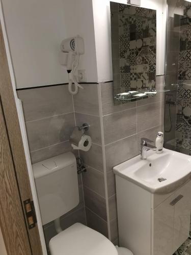 a small bathroom with a toilet and a sink at Modern Studio in Târgu-Mureş