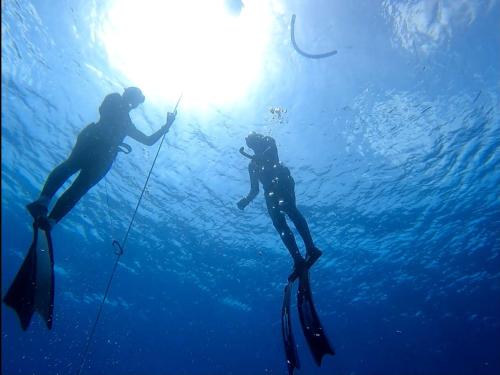 two people are standing in the water on scuba gear at Gozo Silence in Għarb