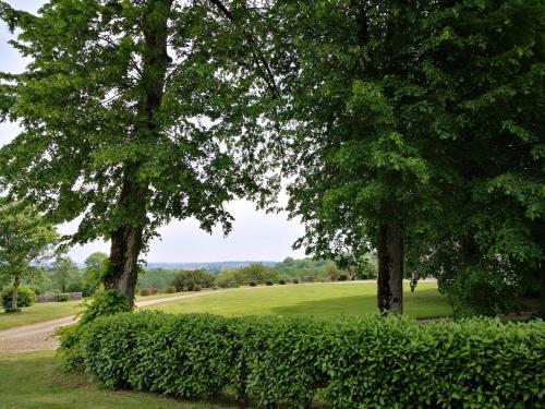 two trees in a park with a green field at Chateau de Vaux in Gesnes-le-Gandelin