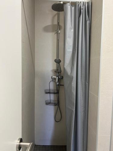 La salle de bains est pourvue d'une douche avec rideau de douche. dans l'établissement apartment Vujcic 2, à Okrug Donji