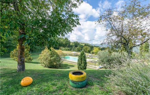 two oranges sitting in the grass next to a pool at Fico, Oliva, Mora in Calzolaro