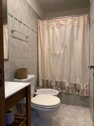 La salle de bains est pourvue de toilettes et d'un rideau de douche. dans l'établissement Apartamento Paseo Plaza Navarro, à Navarro