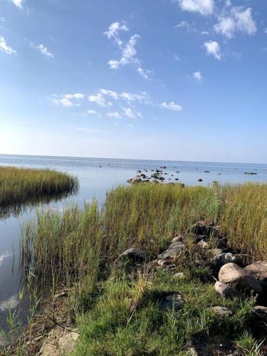 a body of water with some grass and the ocean at Forest House, Tiidu in Nässuma