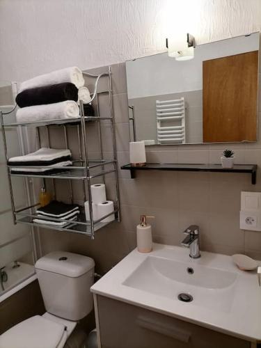 une salle de bain avec un lavabo, des toilettes et un miroir dans l'établissement Appartement aux pieds des pistes / piscine, à Saint-Gervais-les-Bains