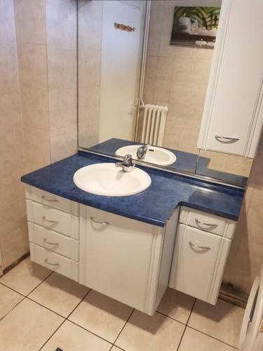 Η κουζίνα ή μικρή κουζίνα στο superbe appartement en résidence prive avec un parking prive