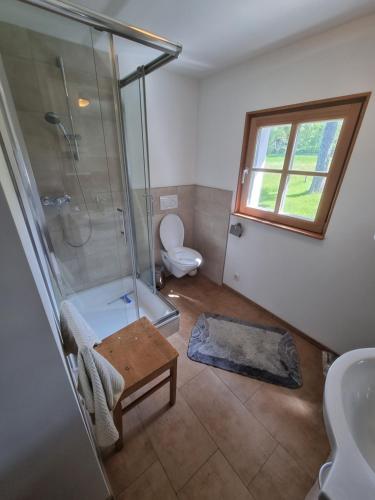 a bathroom with a shower and a toilet and a sink at Haus Rheintalblick in Übersaxen