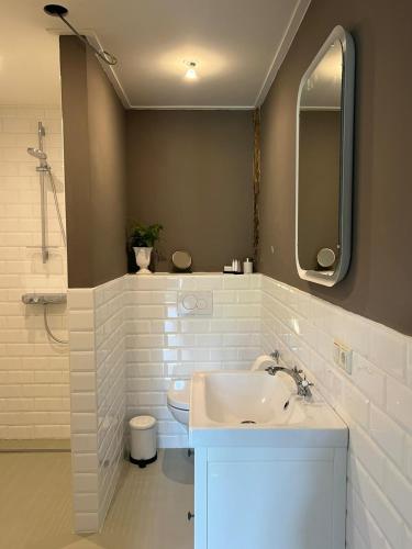 a bathroom with a sink and a toilet and a mirror at De Citadel - De Boomgaard in Markelo