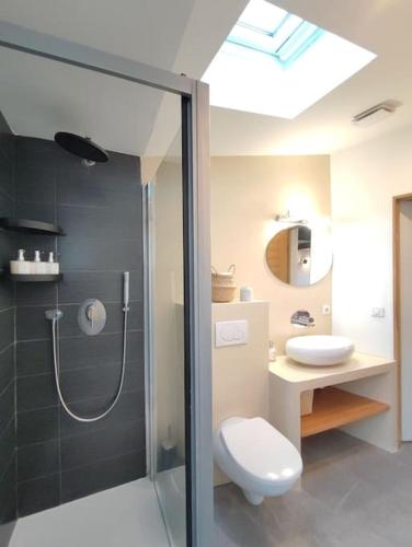 une salle de bain avec une douche, des toilettes et un lavabo dans l'établissement L' ALCOVA - Superbe T2 terrasse a 5 min de Cassis, à Roquefort-la-Bédoule