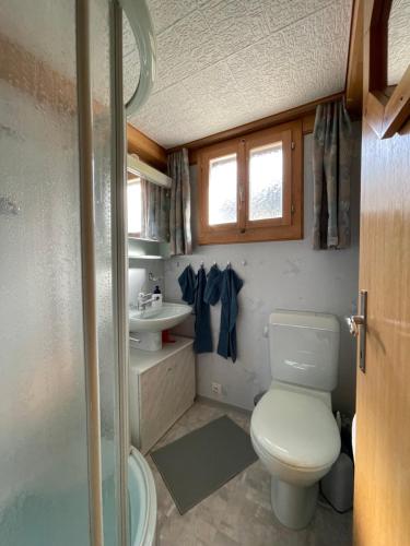 La petite salle de bains est pourvue de toilettes et d'un lavabo. dans l'établissement Chalet Chutzli, à Axalp