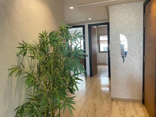 Gallery image of Appartement 2 chambres centrale in Casablanca