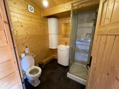 a small bathroom with a toilet and a shower at Secret Hythe, Sea views Town location 2km Eurotunnel in Hythe