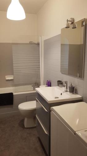 une salle de bain blanche avec des toilettes et un lavabo dans l'établissement Studio au pays du Champagne, à Épernay