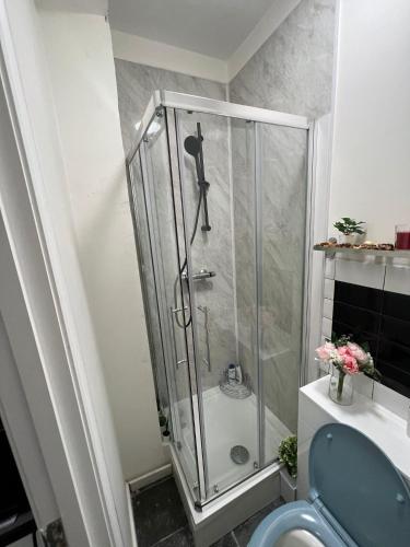 a shower stall in a bathroom with a toilet at Lovely apartment close to Acton central station in London