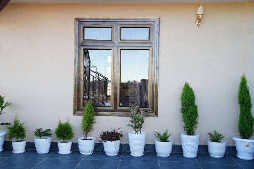 a group of potted plants sitting in front of a window at Daiatei Homestay - BnB in Shillong