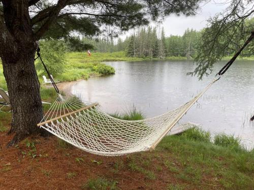 Cozy Accessible Waterfront Cottage on Healey Lake