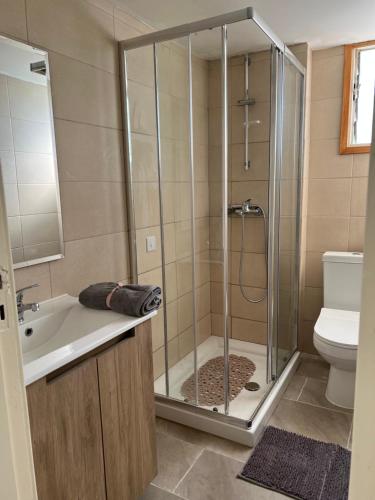 ein Bad mit einer Dusche, einem Waschbecken und einem WC in der Unterkunft Joanna Court rooms in Larnaka