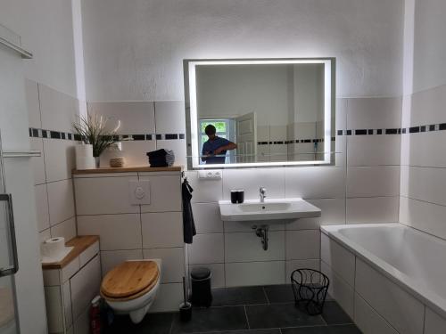 a bathroom with a toilet and a sink and a mirror at Zeitreise: Wohnen im Herrenhaus genau zw. L u. DD in Mügeln