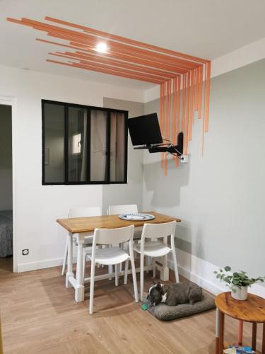 - un chat dormant sur un oreiller à côté d'une table à manger dans l'établissement APPARTEMENTS ACCES PRIVE PLAGE DE LA BERGERIE, à Hyères