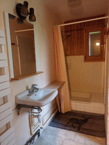 a bathroom with a sink and a shower at Le Chardon Bleu in Châtel