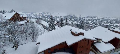 Lune D'Argent Appartement avec vue sur la montagne v zime