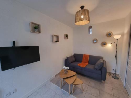 sala de estar con sofá y TV de pantalla plana en Le Vivien, en Romorantin-Lanthenay