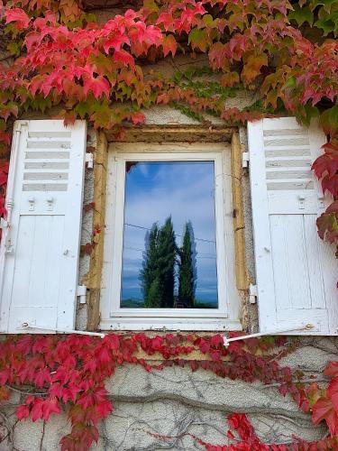 a window on a building with red leaves at Le Gîte de Buffetières in Saint-Romain-de-Popey