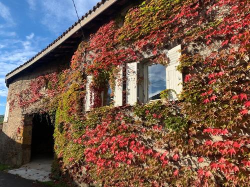 a building covered in ivy with a window at Le Gîte de Buffetières in Saint-Romain-de-Popey